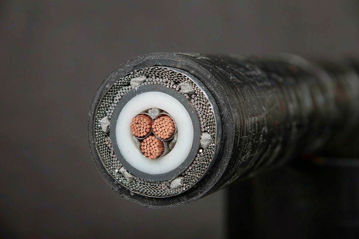 Cut end of 8.7/15 kV medium voltage cable: XLPE insulated cores, copper tape screens and steel tape armour