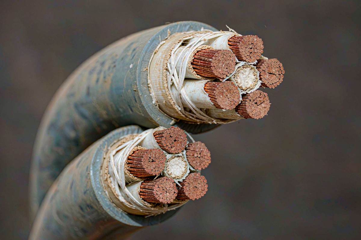Cut end of WDZ-YJY LSZH power cable with matte low smoke halogen free sheath